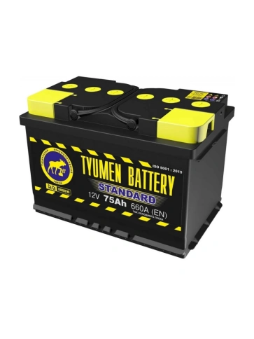 АКБ  6CT-75 L Standard г. Тюмень (278х175х190) 660А (обратная полярность) фото 2