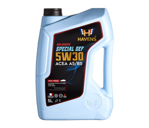 5W30 Havens Special OEF SAE ACEA A5/B5 5L масло моторное фото 1