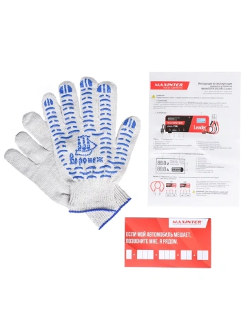 Зарядное устройство Plus-21 BI MAXINTER импульс.автом.12/24 фото 6