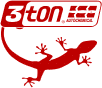 3ton